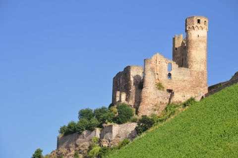 Zamki w dolinie Renu: 1,5-godzinny rejs z Rüdesheim