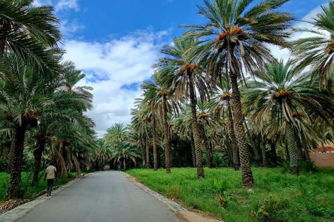Muscat: Private Fanja Village, Souq, and Wadi Tayeen Tour
