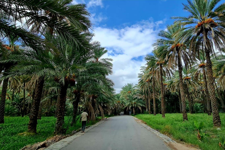 Muscat: Private Fanja Village, Souq, and Wadi Tayeen Tour