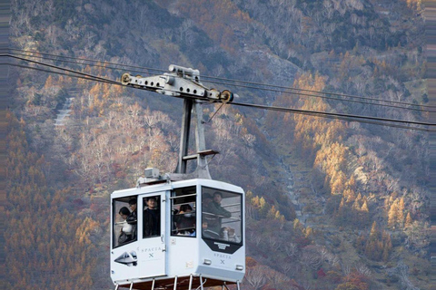 Tóquio: Viagem de 1 dia com visita privada ao Monte Fuji e Hakone