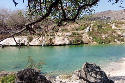 Dhofar: Salalah City and East Salalah Private Tour