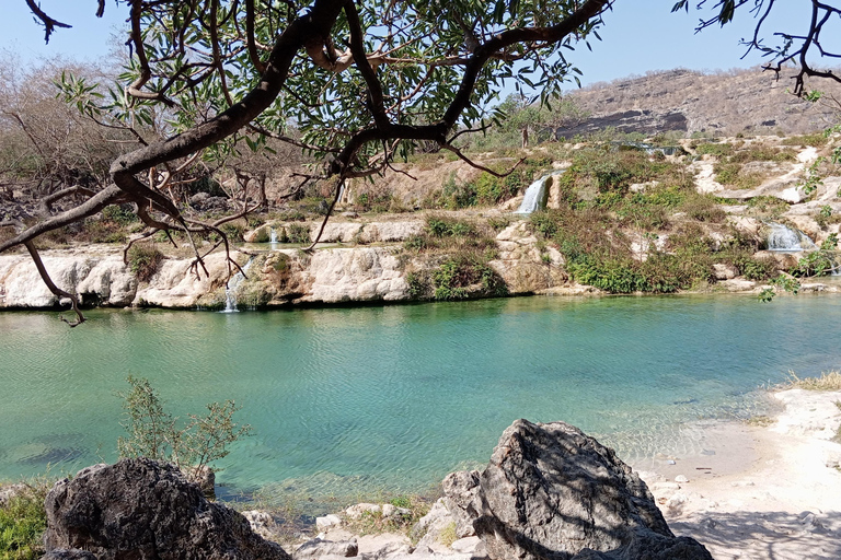 Dhofar: Salalah City and East Salalah Private Tour