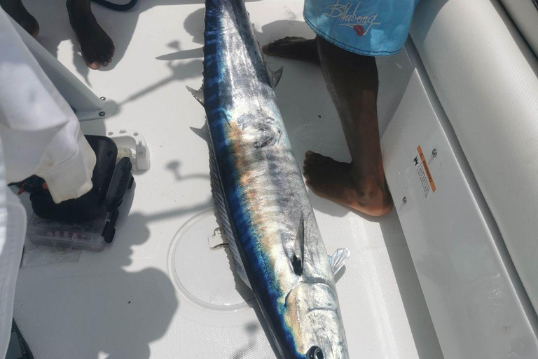 Prywatny czarter – połów ryb głębinowych w Boa Vista4 godziny wędkowania na głębokim morzu