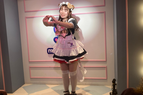 东京秋叶原、动漫、漫画、视频游戏和女仆咖啡厅之旅