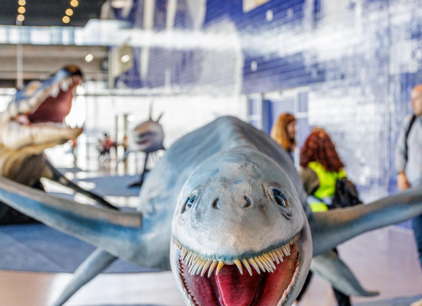 Lissabon: Oceanário de Lisboa Indgangsbillet