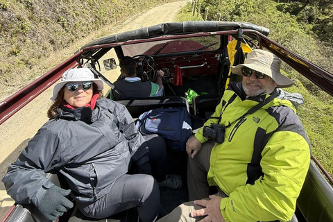 La Carbonera Adventure: Hiking & Horseback Riding in the Andean Palm Forest Salento: Tour to La Carbonera and the wax palm forest