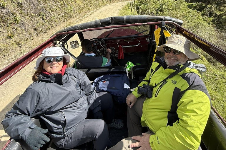 La Carbonera Adventure: Hiking & Horseback Riding in the Andean Palm Forest Salento: Tour to La Carbonera and the wax palm forest