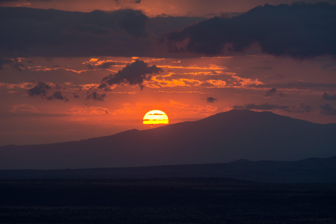 From Zanzibar: Selous Game Reserve Day Safari with Flights