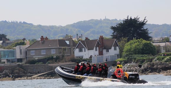 Dublin: Bootstour zur Geschichte und Tierwelt mit Live-Kommentar