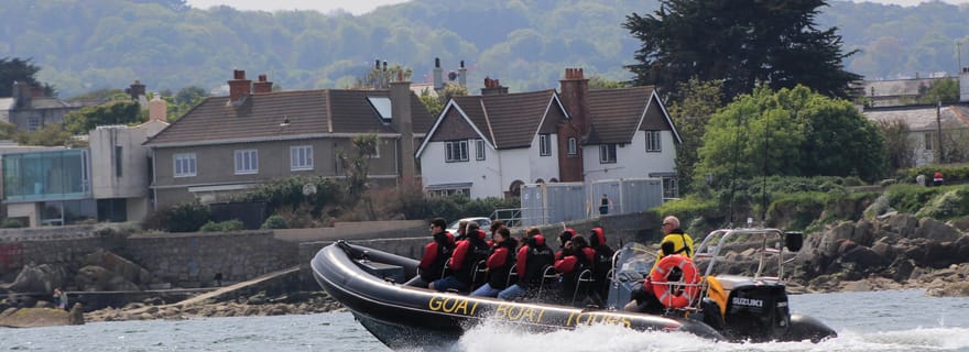 Dublin : tour en bateau avec commentaires en direct sur l'histoire et la faune