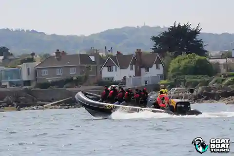 Dublin: Bootstour zur Geschichte und Tierwelt mit Live-Kommentar