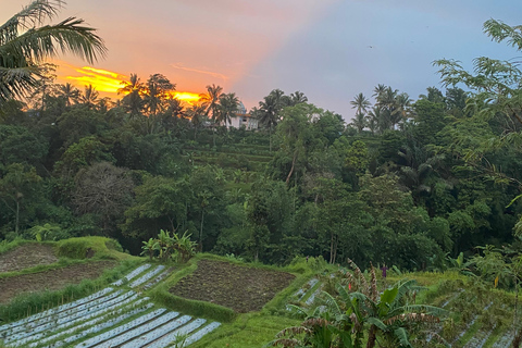 特特巴图：瀑布、香料、梯田、猴子森林特特巴图之旅、香料、瀑布、梯田、猴林