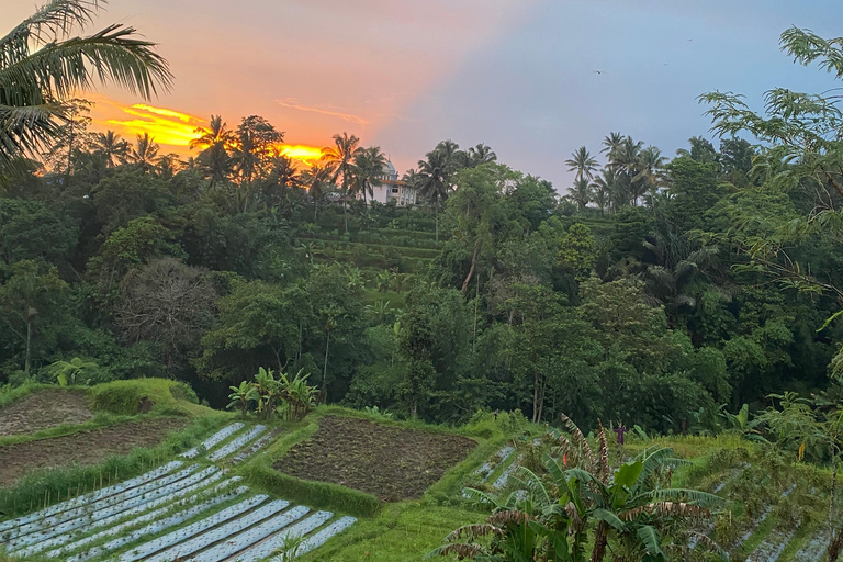 特特巴图：瀑布、香料、梯田、猴子森林特特巴图之旅、香料、瀑布、梯田、猴林