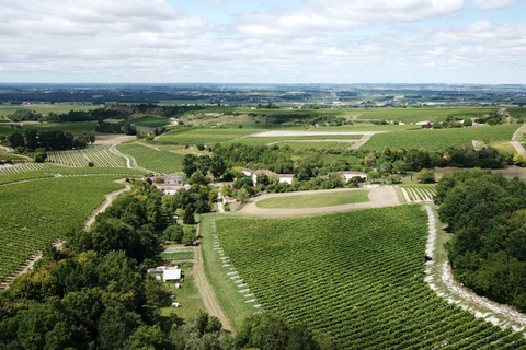 Privé rondleiding Dag in het hart van de Cognac wijngaarden