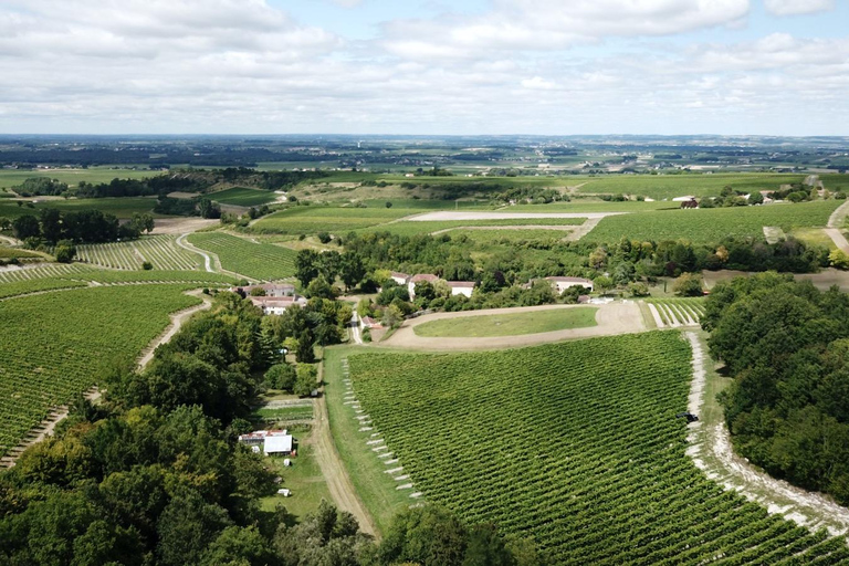 Privé rondleiding Dag in het hart van de Cognac wijngaarden