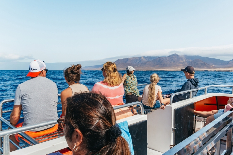 Fuerteventura: Glass Bottom Boat Cruise with Lunch