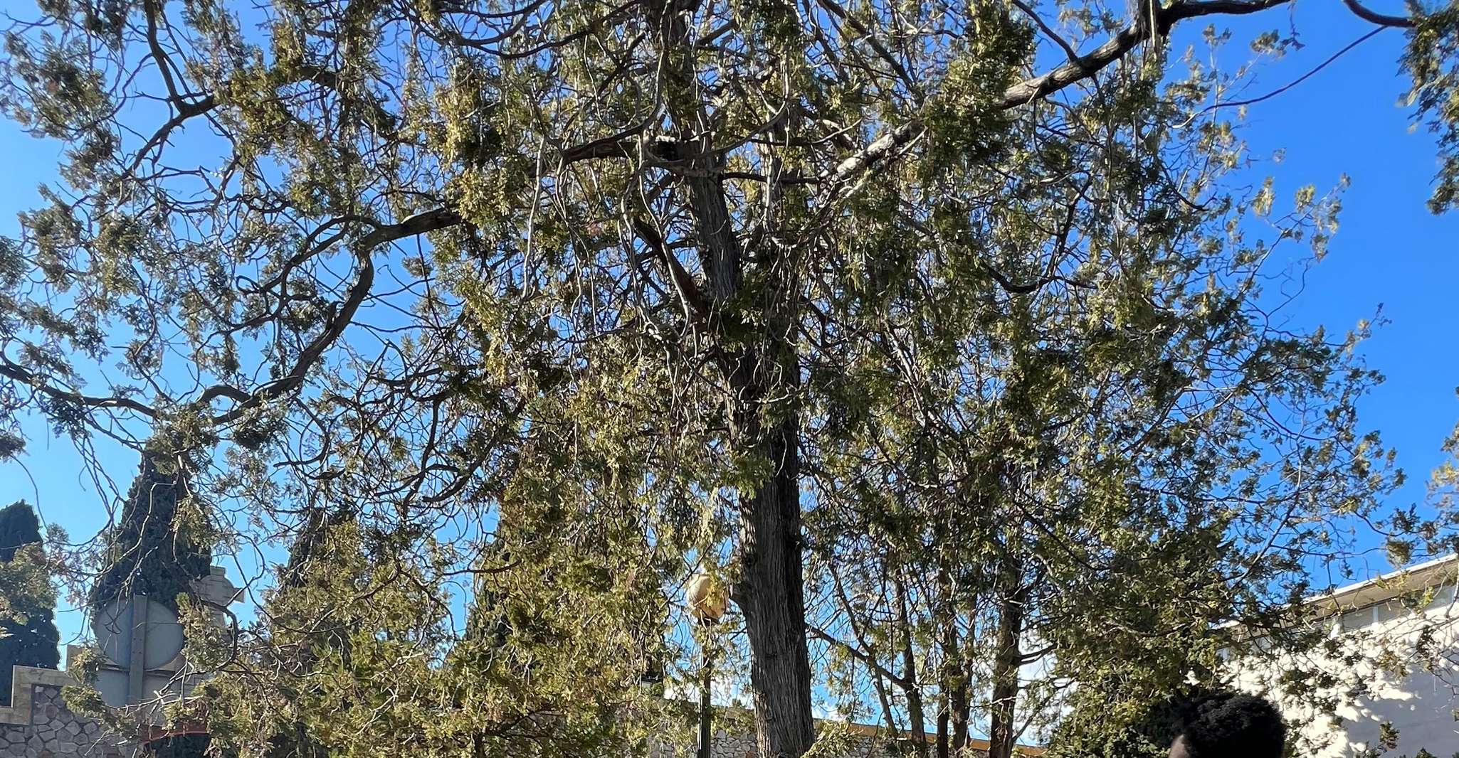 FC Barcelona History Immersive Walking Tour - Beer Included