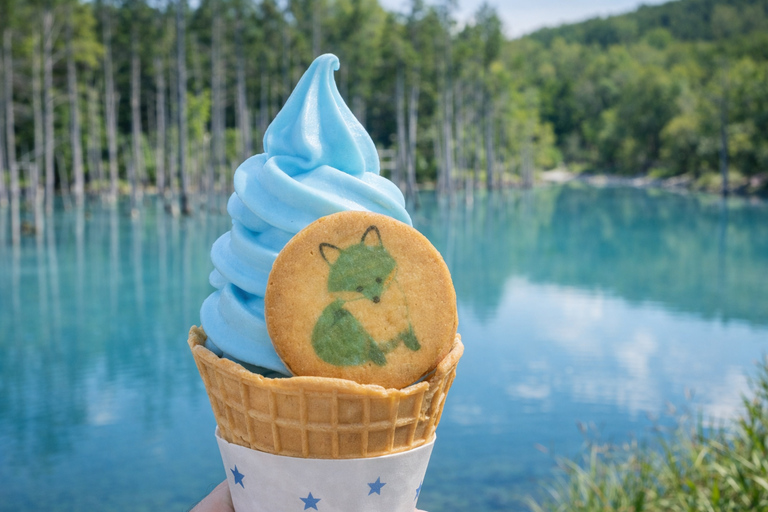 Hokkaido: Furano & Biei 1-Day Tour with Melon & Blue Pond No Melon