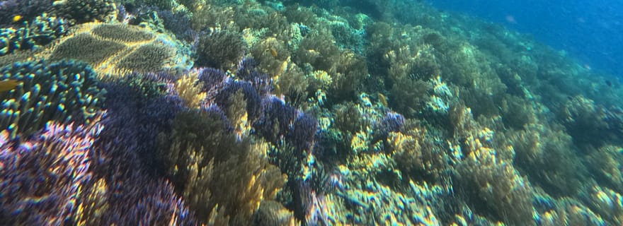 Lombok : excursion de plongée avec tuba à Gili Nanggu, Sudak et Kedis