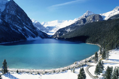 Banff : Lake Louise & Moraine Lake Guided Half Day Tour