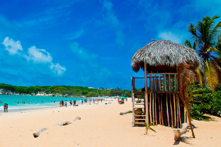 Excursión Safari desde Punta Cana