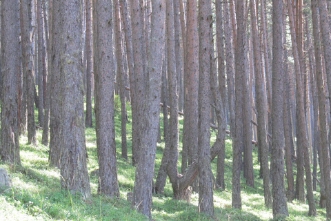 Rondleidingen in Georgië