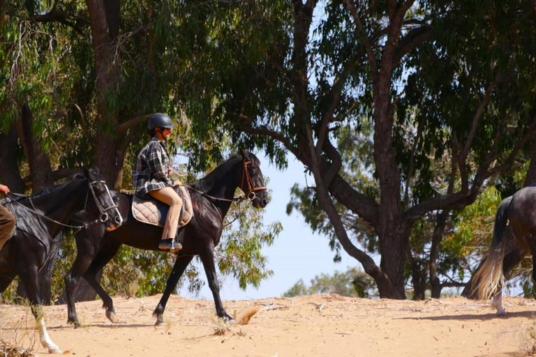 Agadir: Private Coco Polizzi Medina & Horse Ride