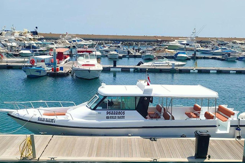 Excursão à ilha Dimaniyat com mergulho com snorkel