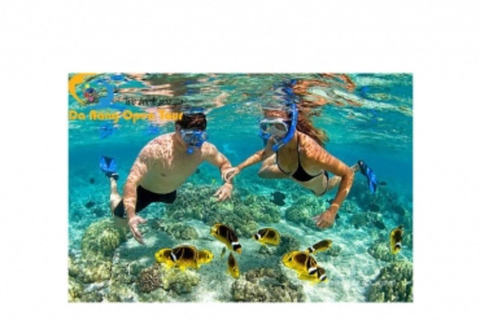 Hoi An/Da Nang: Cham Island Daily Tour with Snorkeling Pickup at hotel in Da Nang city center.