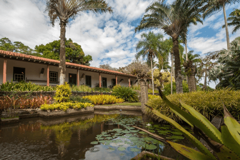 Rio de Janeiro: Sitio Roberto Burle Marx Guidad tur