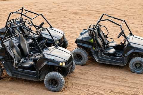 Muscat: Adventure in Muscat 4 Hours with Sunset & Transfer