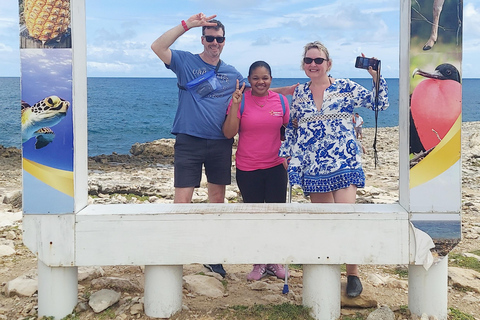 St.John's, Antigua: Stingray City & Long Bay Shore Excursion