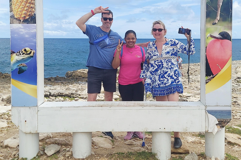 St.John's, Antigua: Stingray City & Long Bay Shore Excursion