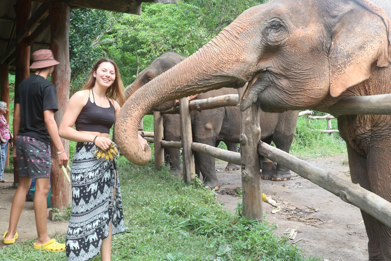 Chiang Mai: 2-dagars djungelvandring med elefantfarm och forsränning