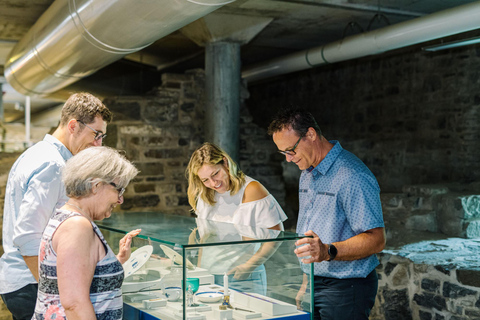 Québec City: Saint-Louis Forts and Châteaux visitGuided Tour in French