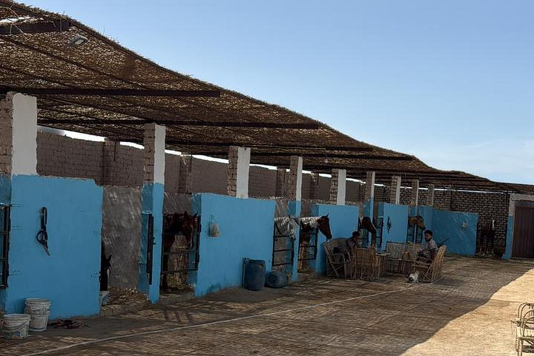Hurghada: Horse Riding in the Desert & Beach Experience 1 HR Desert Horse Riding Experience without transfer