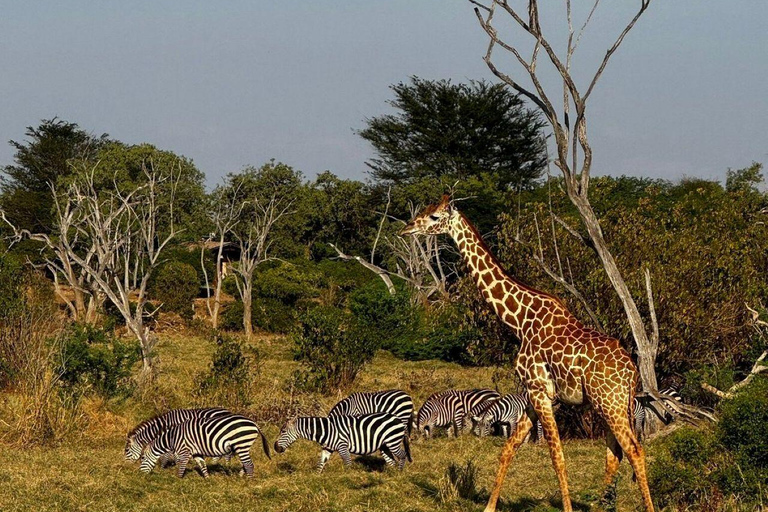 Mombasa/Diani: 2-Day Tsavo East Safari with Meals Private day tour to Tsavo East National Park - VAN