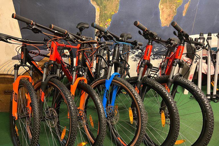 Bled: Mountain Bike Rental
