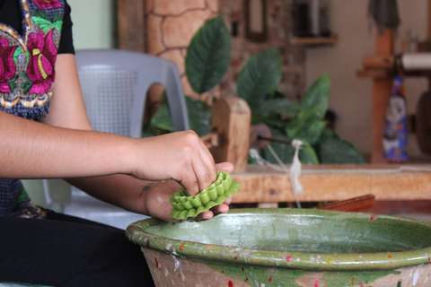 Oaxaca: Hierve el Agua, Tule, Mitla & Mezcal Full-Day Tour.