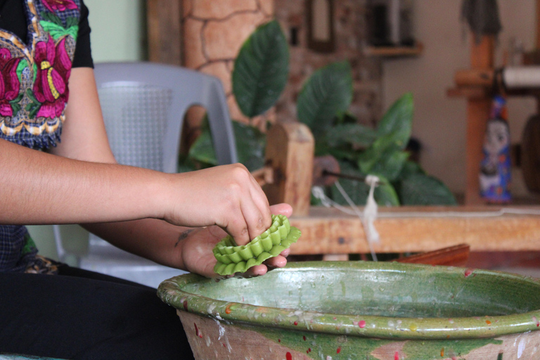 Oaxaca: Hierve el Agua, Tule, Mitla & Mezcal Full-Day Tour.