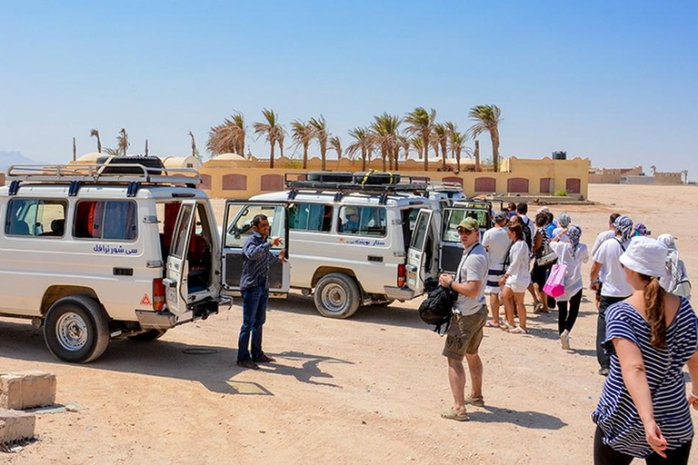 Hurghada: Safari Jeep, Buggy, Camel, Quad, Bedouin Dinner