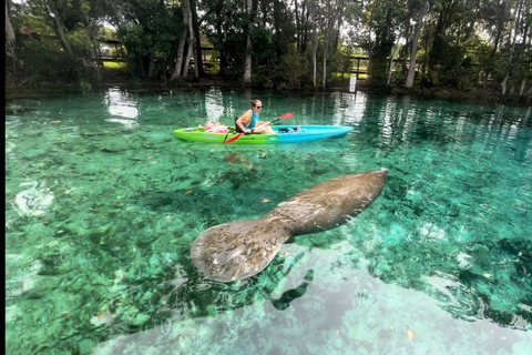 Three Sisters Clear Kayak and Snorkeling Manatee Tour
