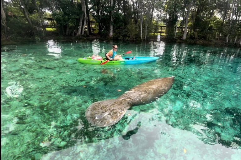 Three Sisters Clear Kayak and Snorkeling Manatee Tour