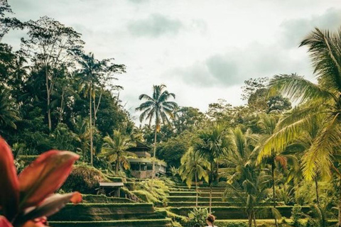 Ubud: Private Tour with Gunung Kawi Temple & Waterfall With Entry Tickets