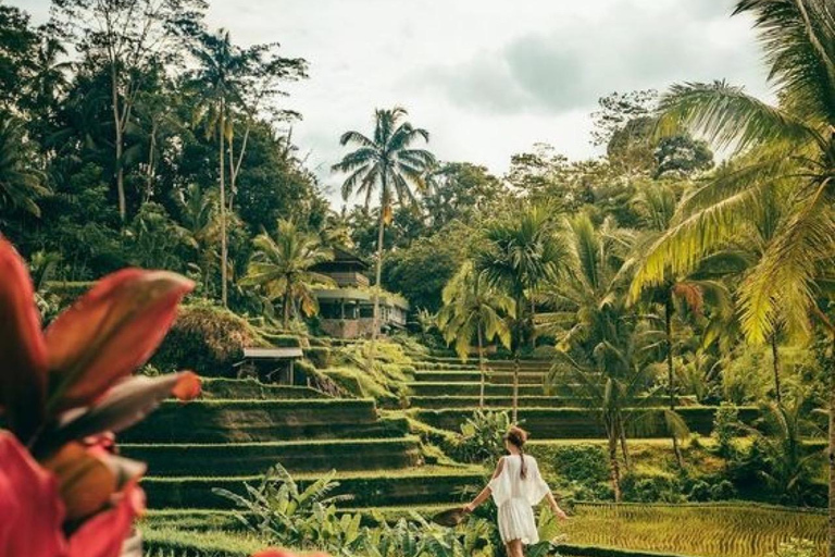 Ubud: Private Tour with Gunung Kawi Temple & Waterfall With Entry Tickets