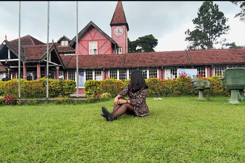 Colombo to Nuwara Eliya Transfer with Tea Factory Visit
