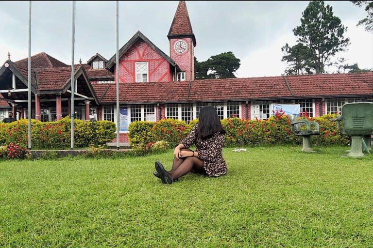 Colombo to Nuwara Eliya Transfer with Tea Factory Visit