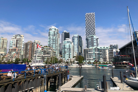 Tour in auto di Vancouver: Vedi tutte le attrazioni della città/risparmia tempo e denaro