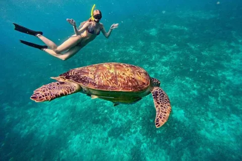 Gili Air: Snorkeling na 3 wyspach Gili ze wspólną/prywatną łodzią