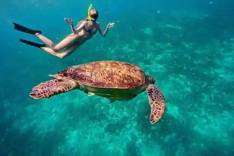Gili Air: Snorkeling 3 Gili Islands with Shared/Private Boat